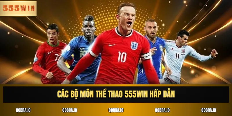 Các bộ môn thể thao 555WIN hấp dẫn